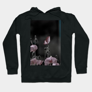 Poppies Hoodie